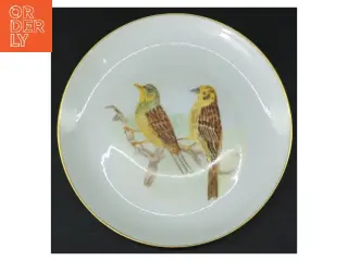 Dekorativ porcelænstallerken med fuglemotiv fra E. M. (str. Ø. 17 cm)