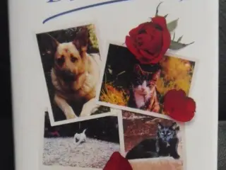 Goodbye, Dear Friend - Death of a Pet