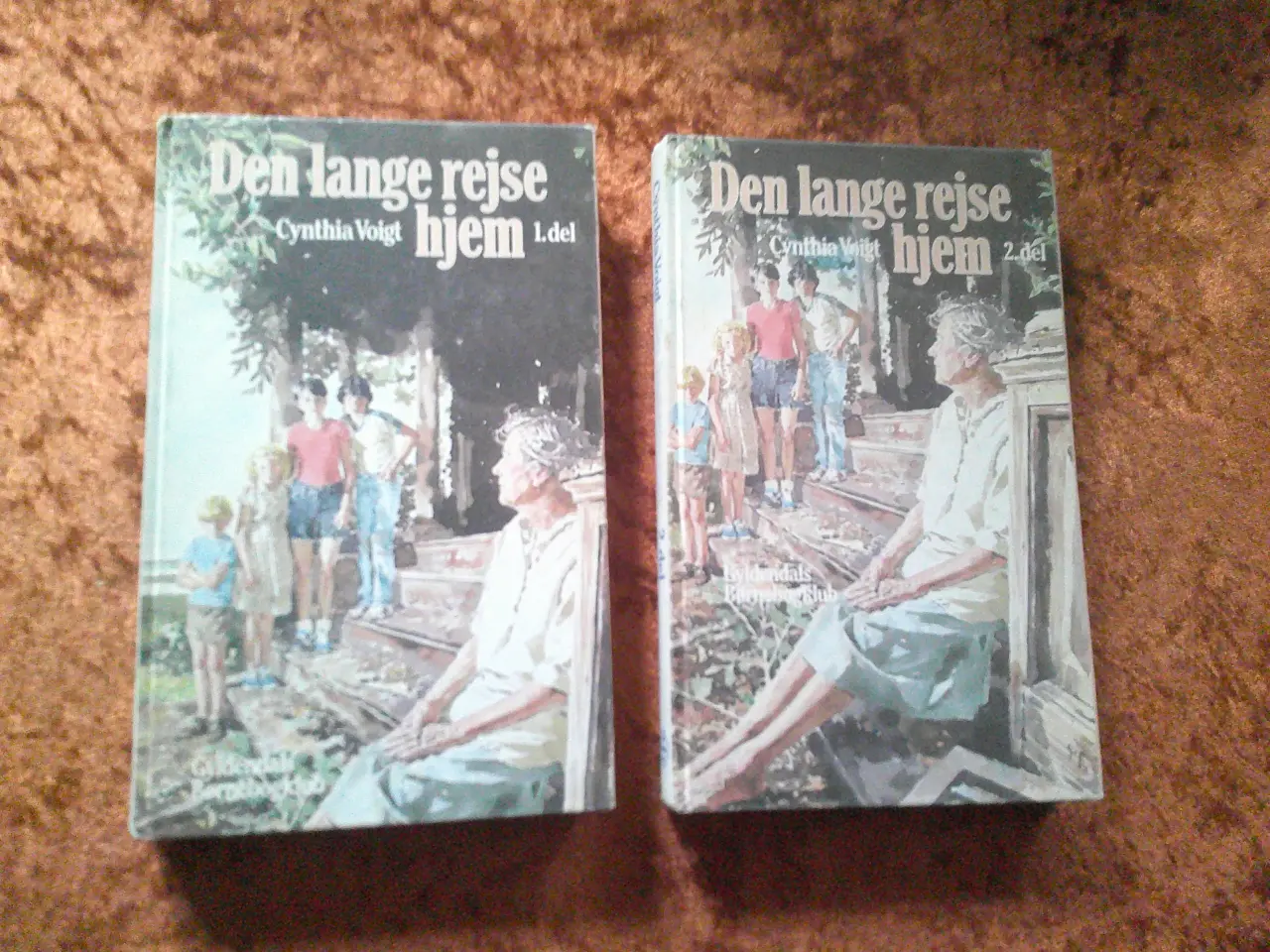 Billede 1 - Den lange rejse hjem 1 & 2, Cynthia Voigt