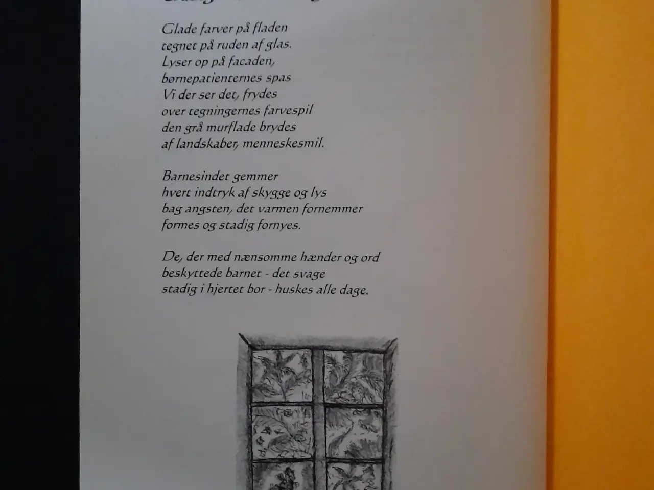 Billede 2 - Stjernedrys / Va vi seje aa va vi gøe, Kathrine Je