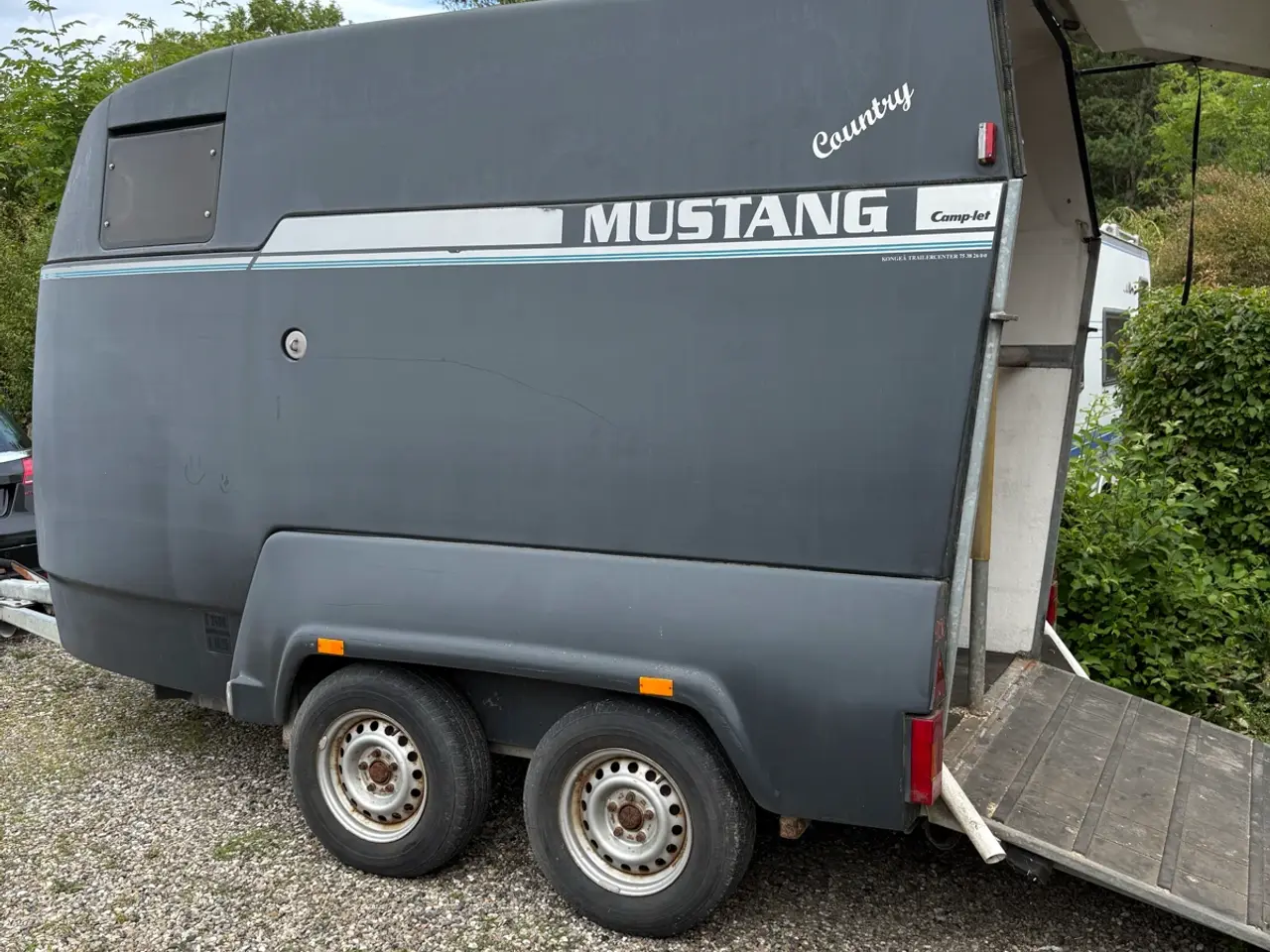 Billede 3 - Mustang