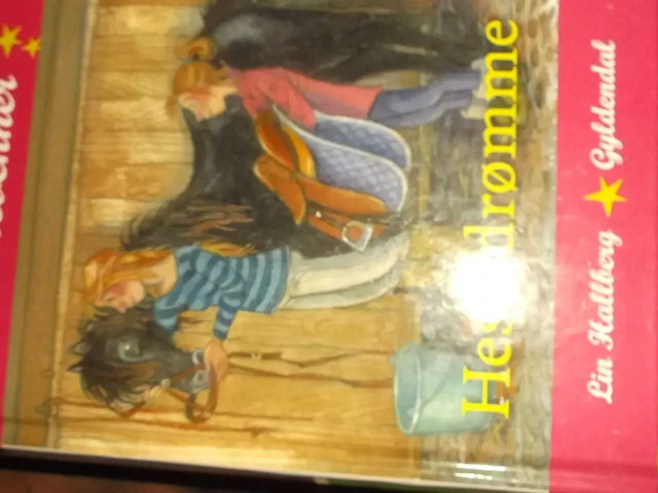 Billede 1 - Hestevenner