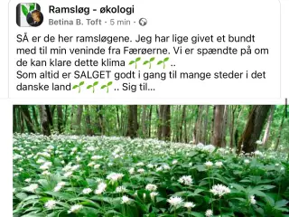 Ramsløg