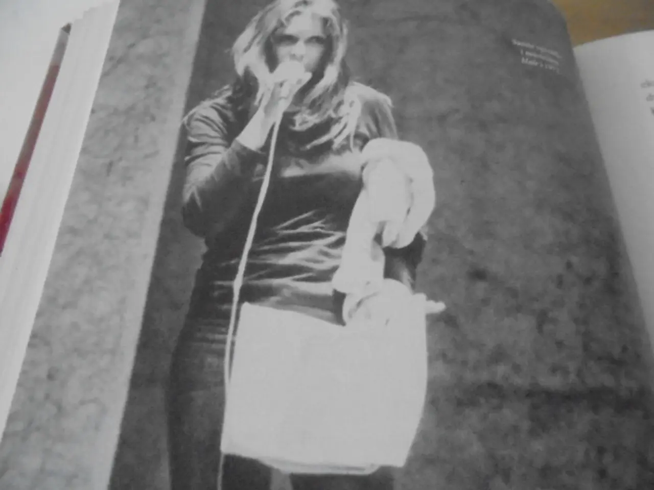 Billede 3 - Sanne Salomonsen – The Book. Lidt til og meget mer