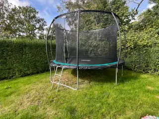 Salta Cosmos trampolin med sikkerhedsnet ø366