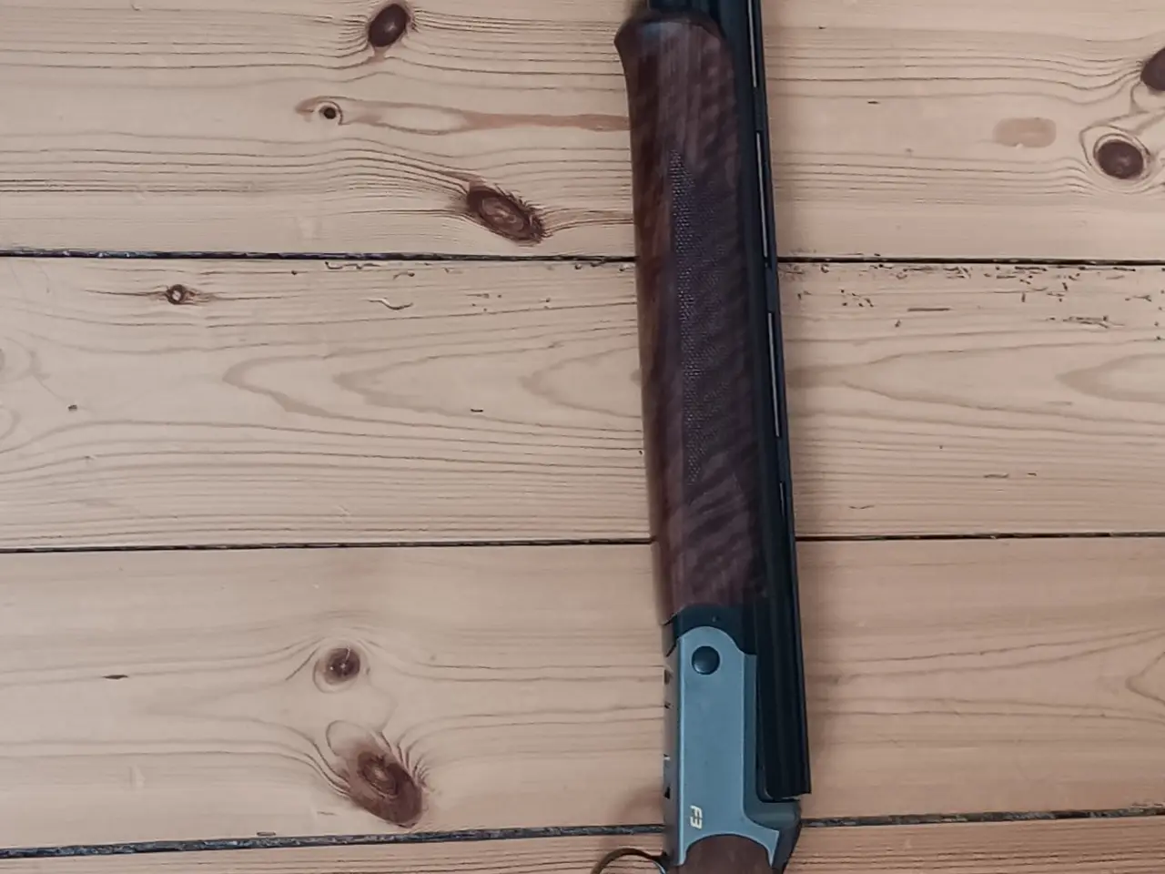 Billede 1 - Blaser F3 12/76