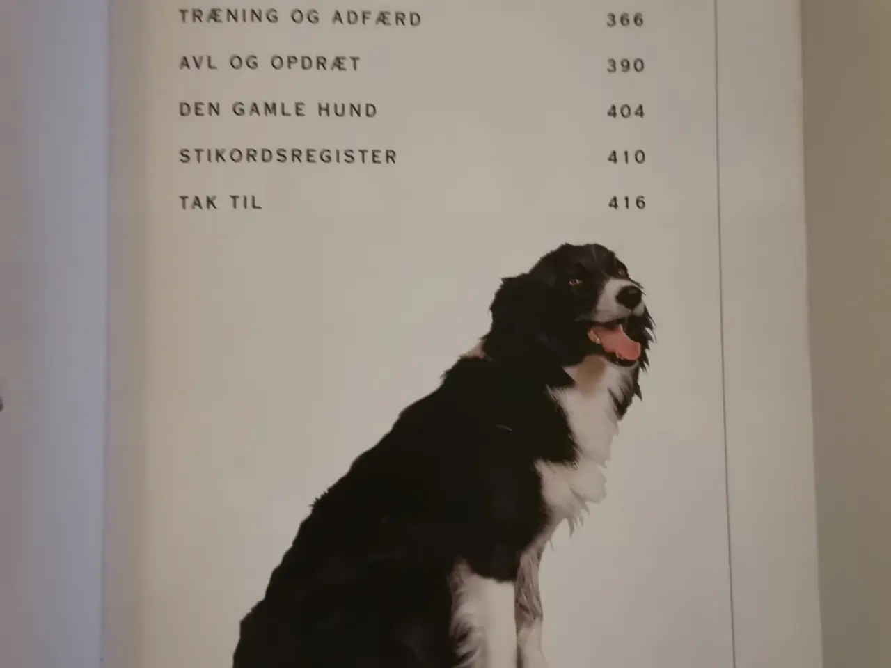 Billede 3 - Hunde af Messent, Palmer m. fl.