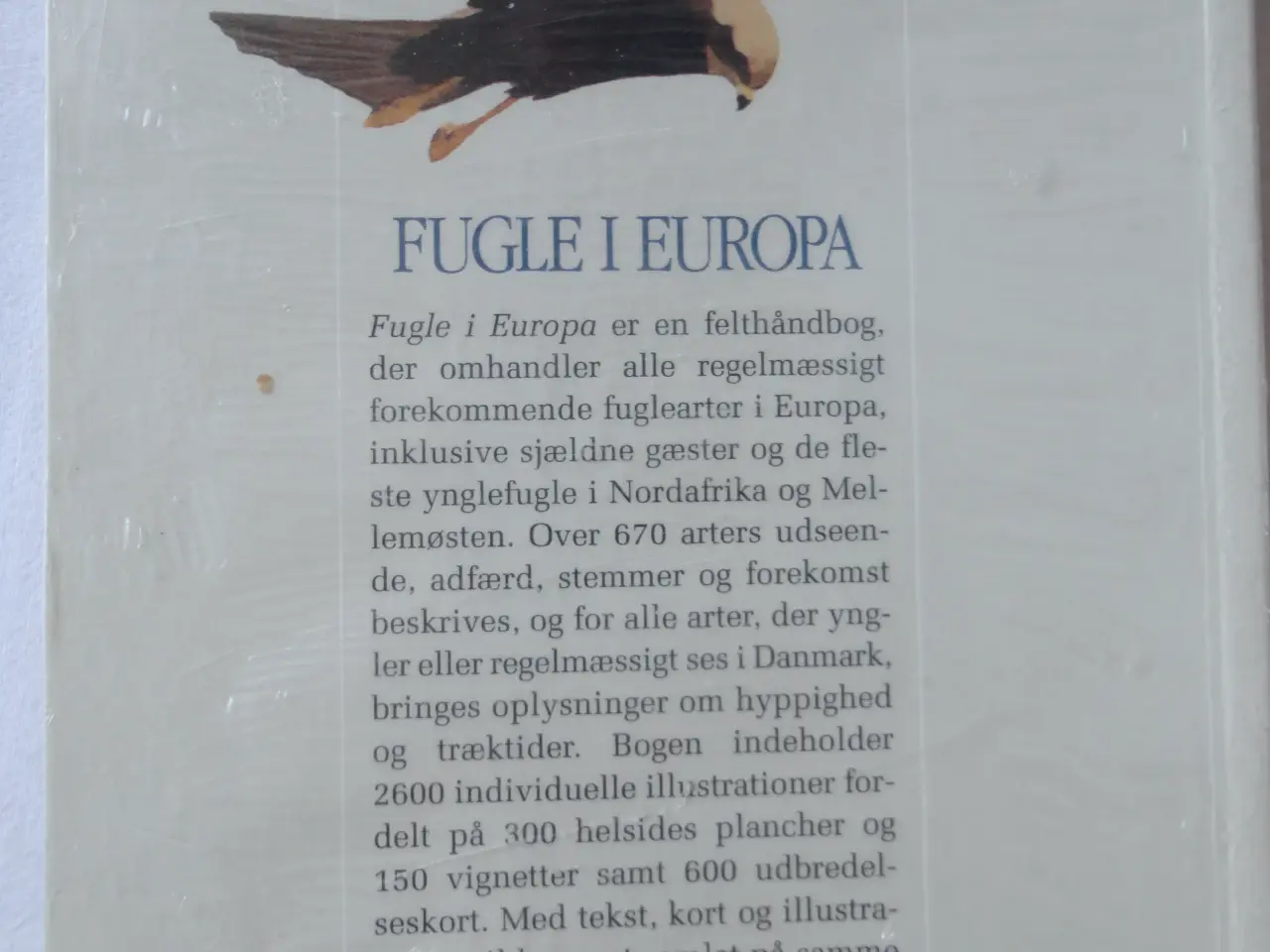 Billede 3 - Fugle i Europa :