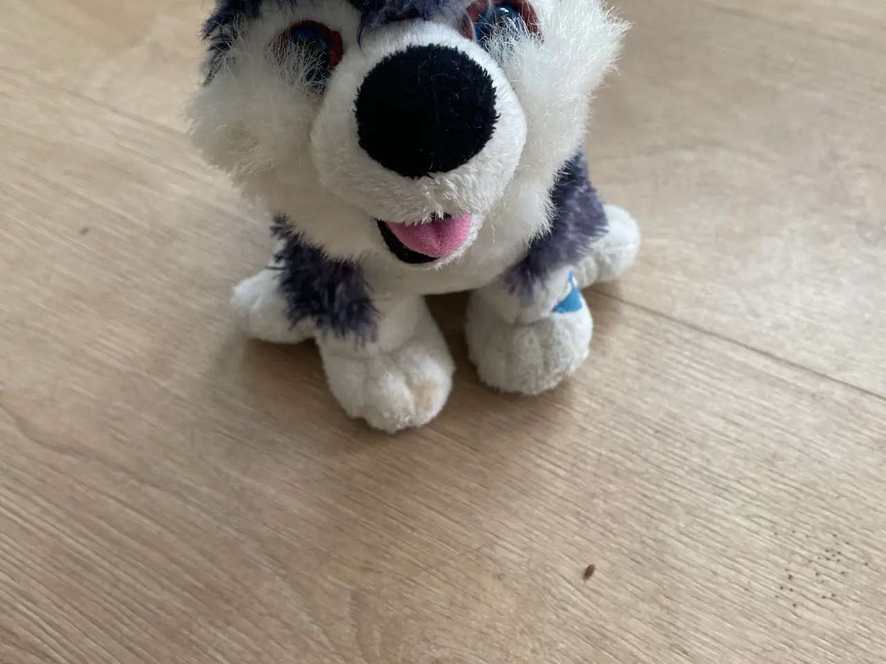Billede 1 - Bamse hund med lyd 