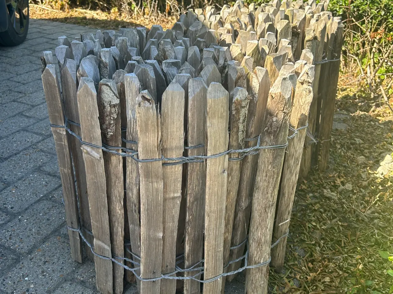 Billede 3 - Kastaniehegn højde 50 cm