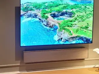 LG 55 OLED C1