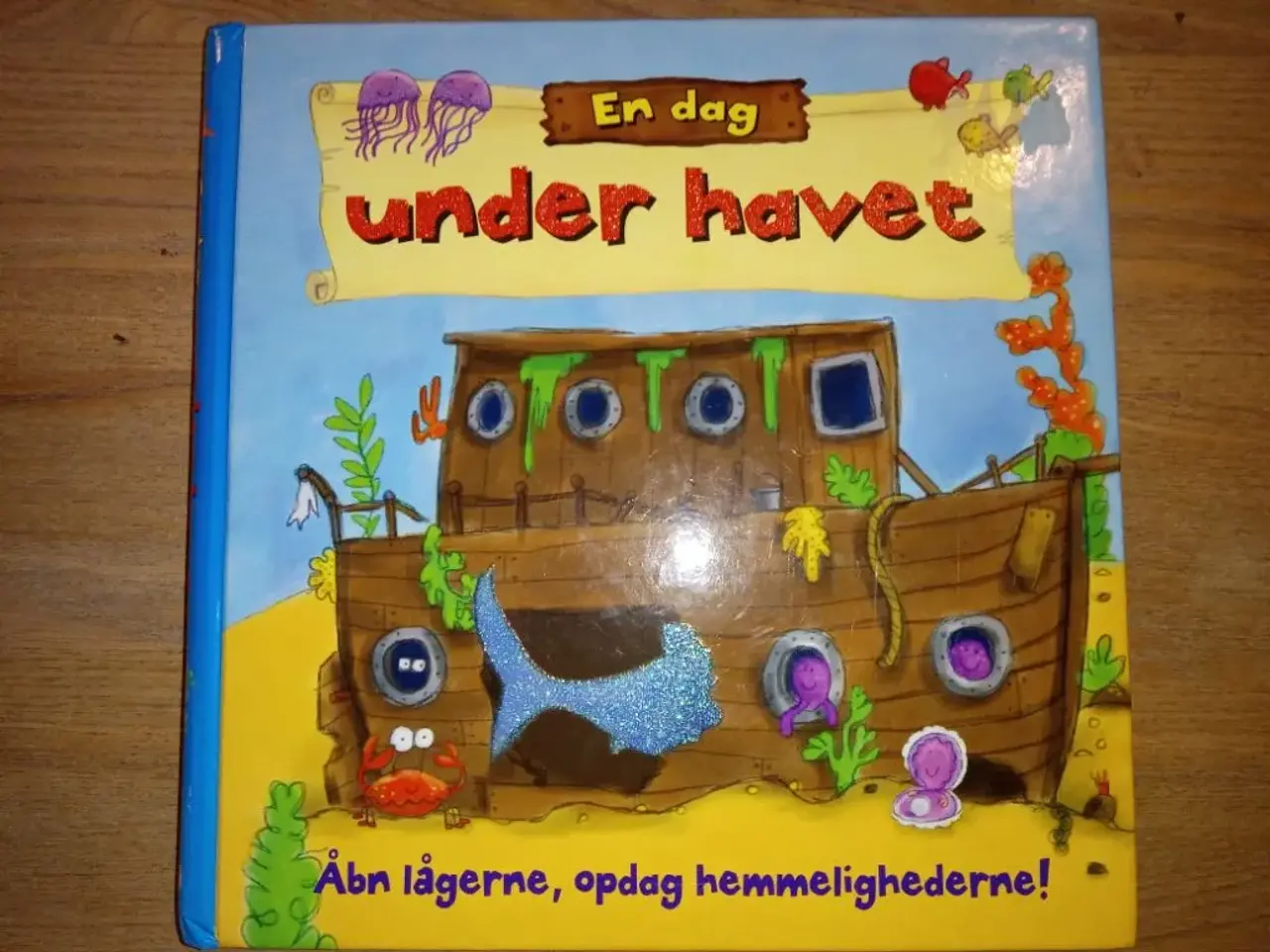 Billede 1 - En dag under havet