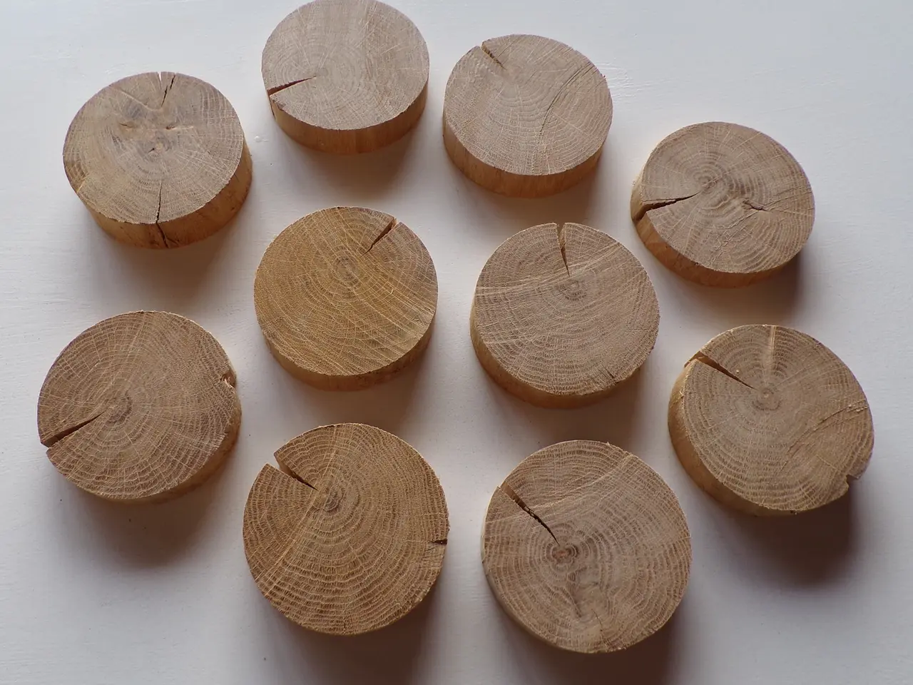 Billede 2 - 10 Træskiver Egetræ m/revner - ca. 9,5 cm