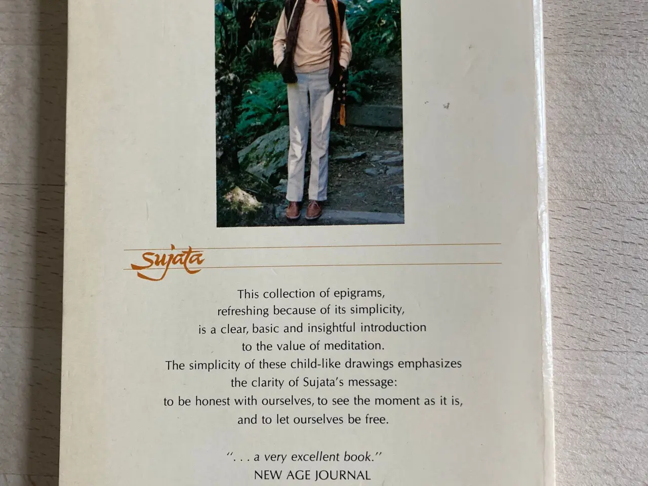 Billede 1 - Beginning to see, Sujata