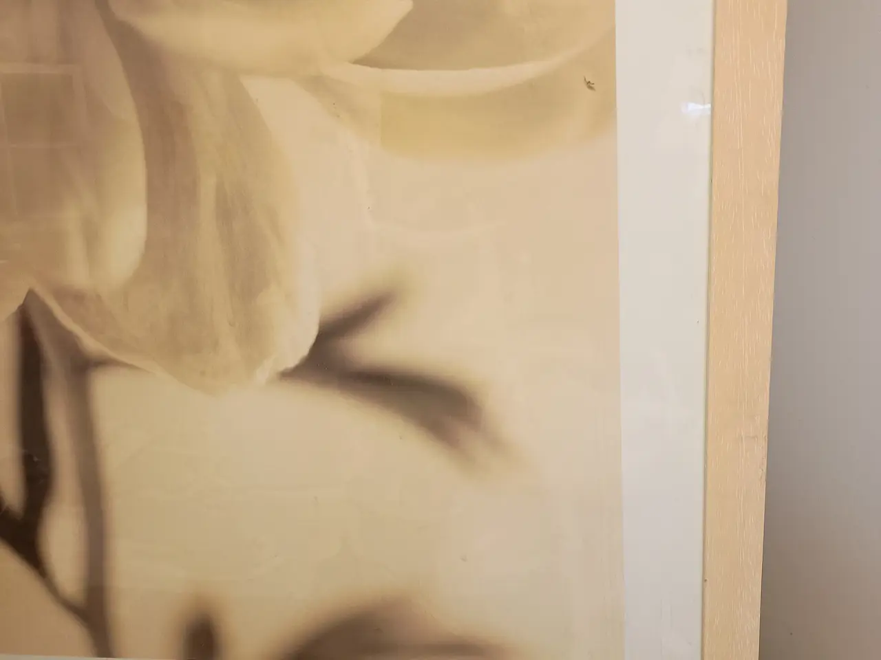 Billede 5 - Blomster plakat, indrammet.