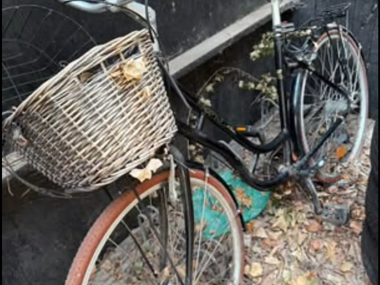 Billede 1 - Klassisk dame cykel