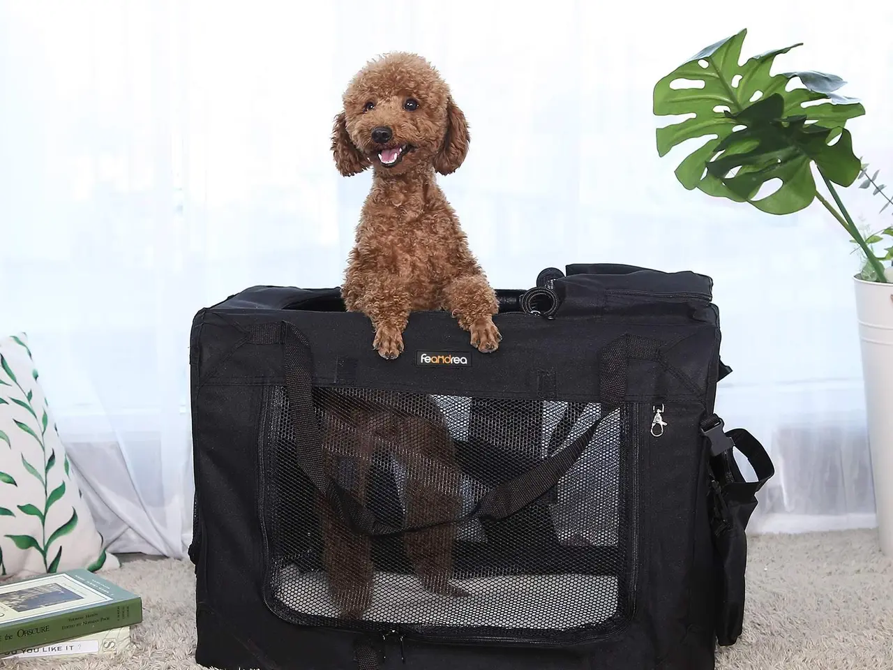 Billede 3 - Foldbar transporttaske til hund M PDC60H - sort