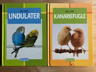Tre bøger, Undulater, Kanariefugle, Dværgpapegøjer