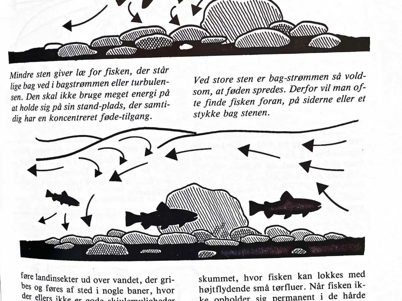 Billede 6 - FLUEFISKER håndbog for lystfiskere - Jens Ploug H.