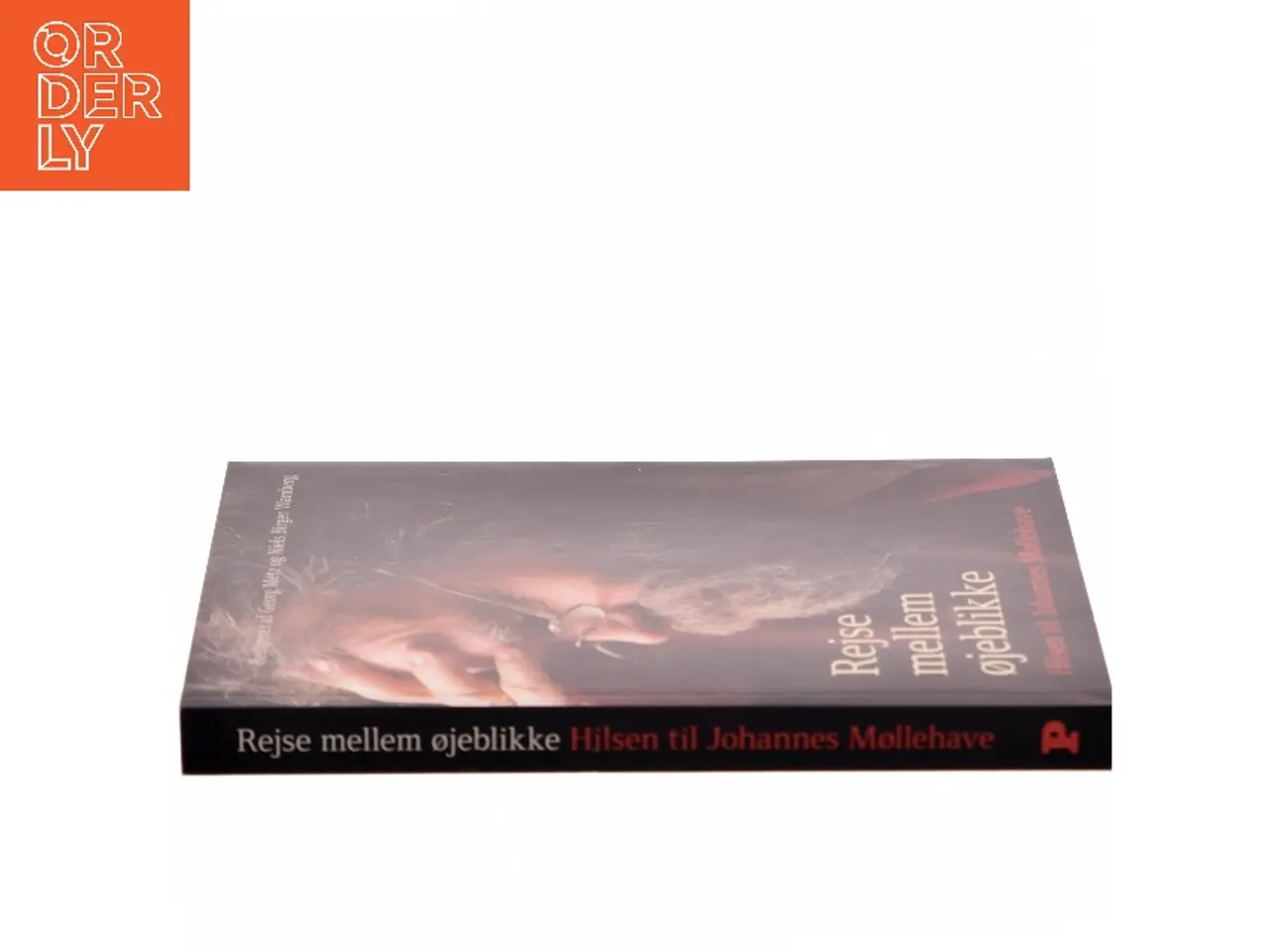 Billede 2 - Rejse mellem øjeblikke : hilsen til Johannes Møllehave (Bog)