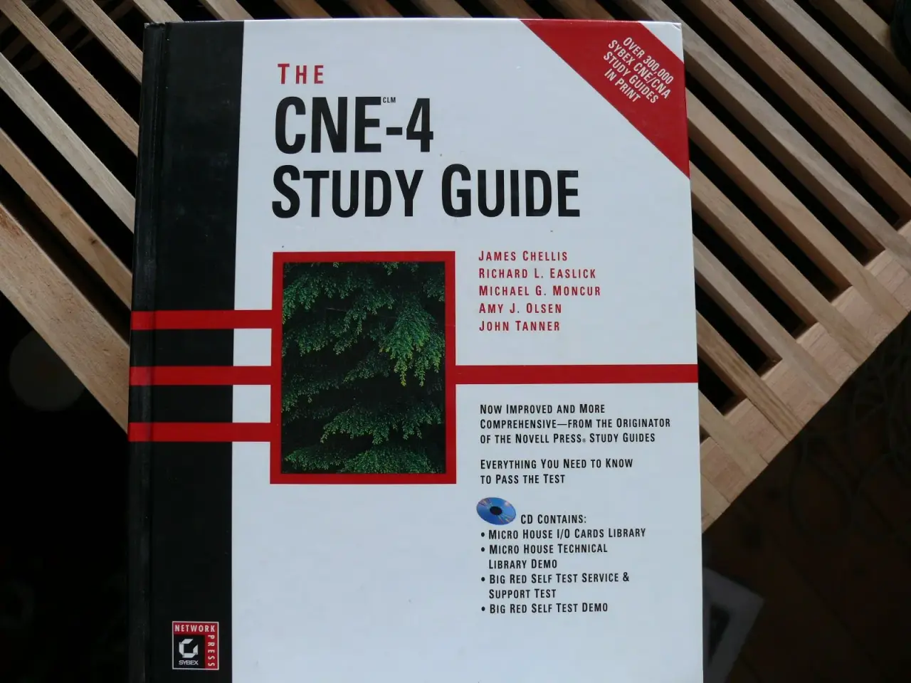 Billede 1 - CNE-4 Study Guide, Network