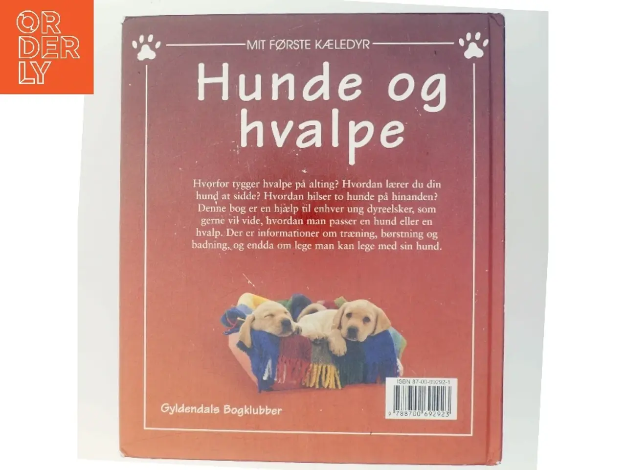 Billede 3 - Hunde og hvalpe af Kathrine Starke (Bog)