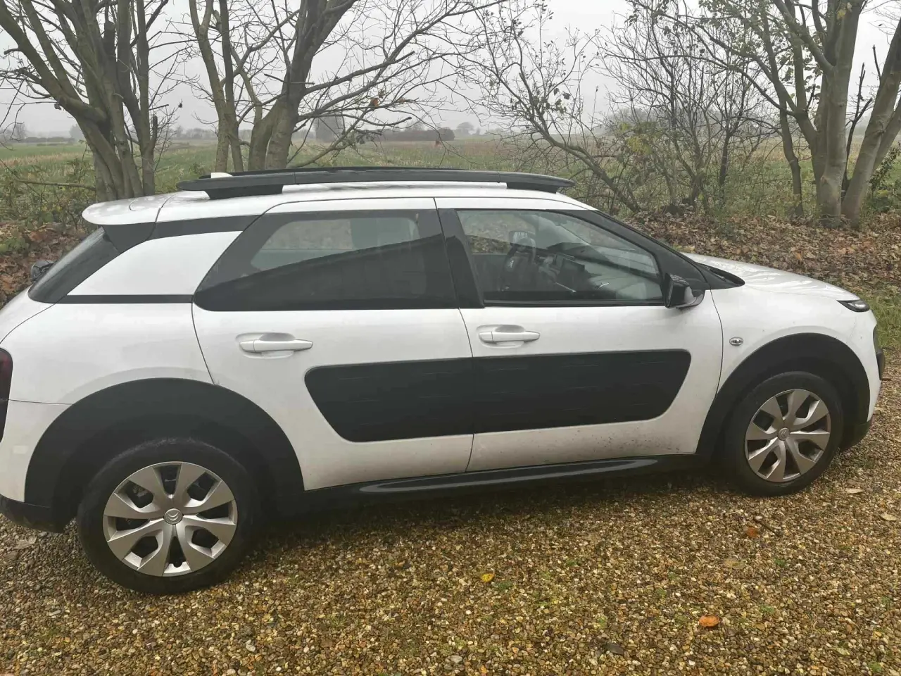 Billede 6 - Citroen c4 cactus