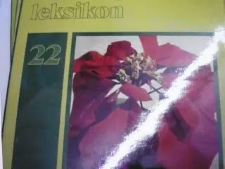 lademann have og plante leksion