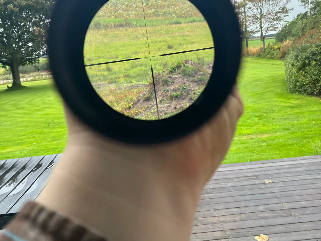 Billede 5 - Hawk Vantage