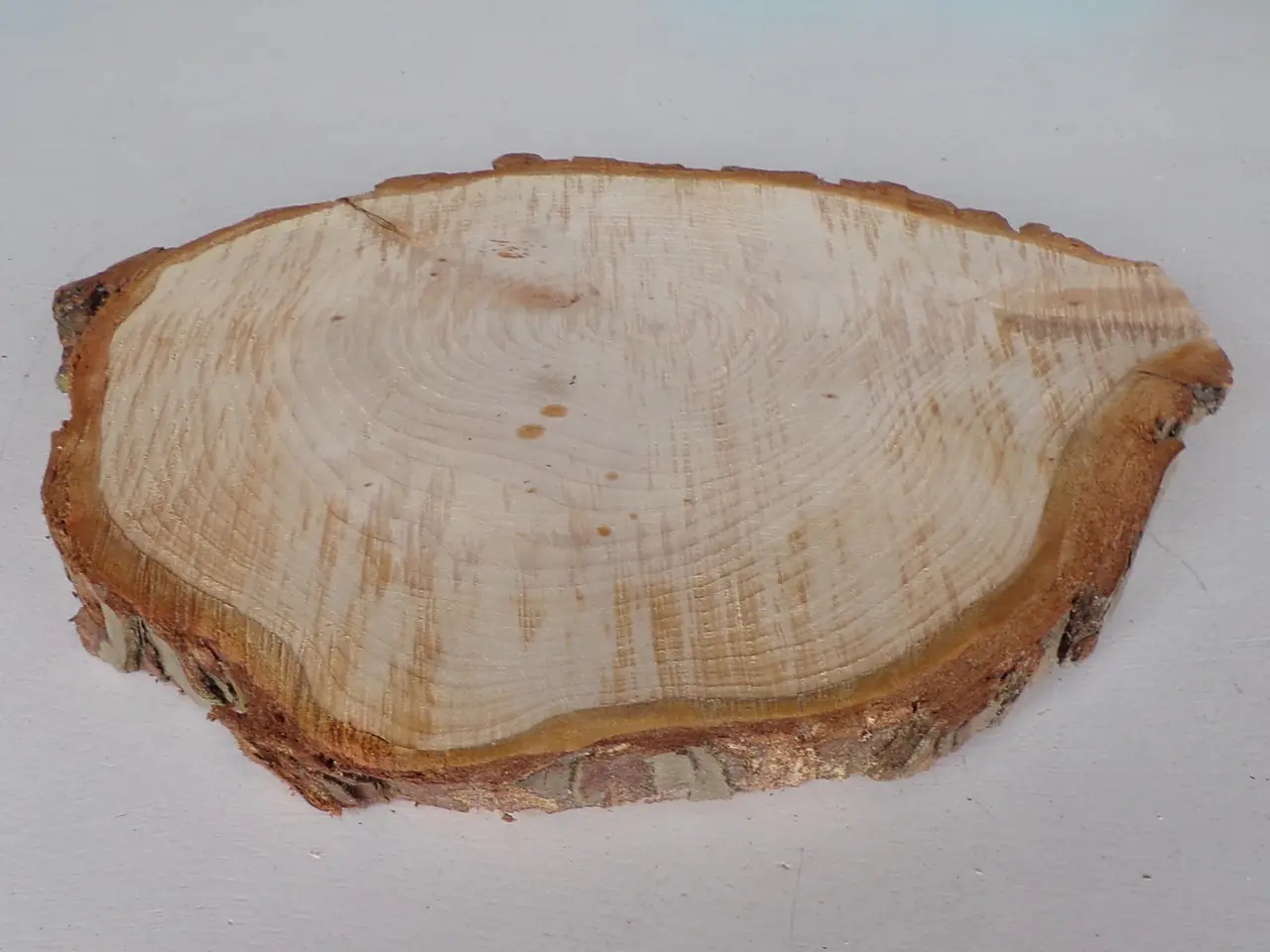 Billede 3 - NY Thuja Træskive med bark 26x24 cm