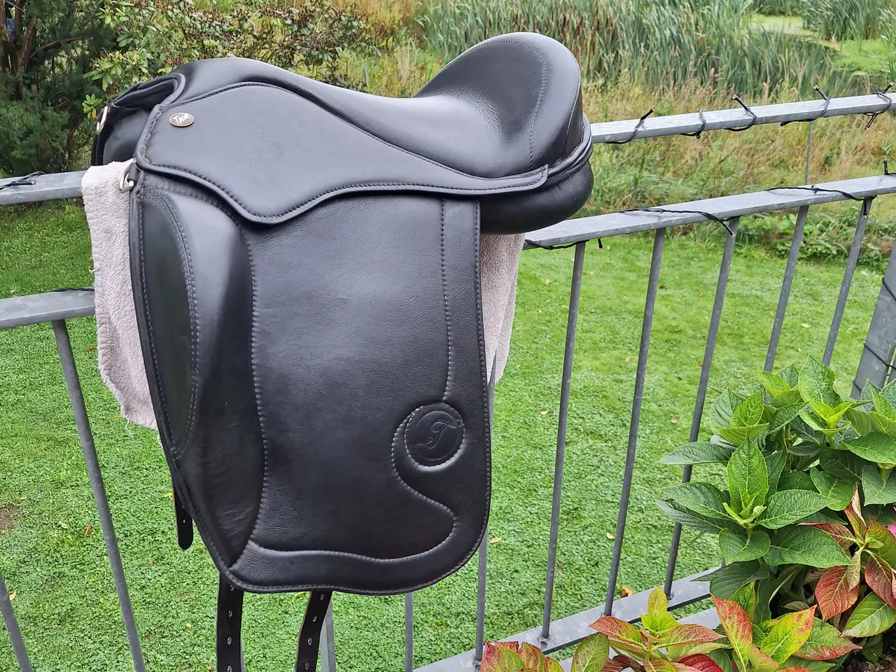 Billede 2 - Bomløs Taur gaiter dressage V3