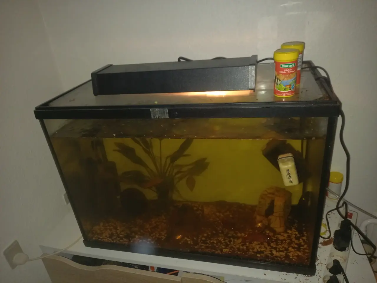 Billede 3 - Akvarium