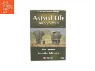 Animal life - Young & Wild (DVD)
