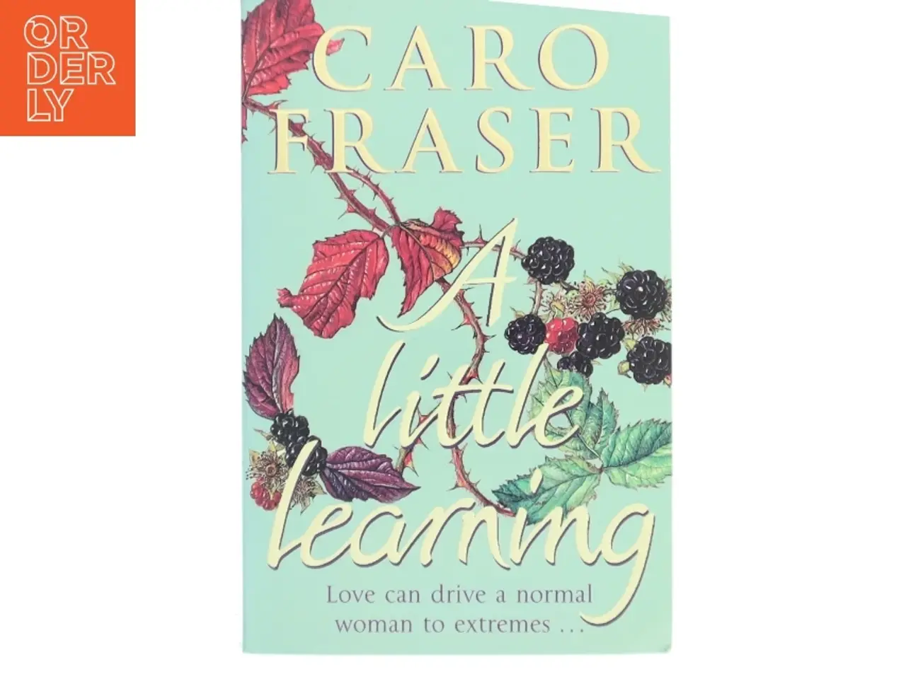 Billede 1 - A Little Learning af Caro Fraser (Bog)