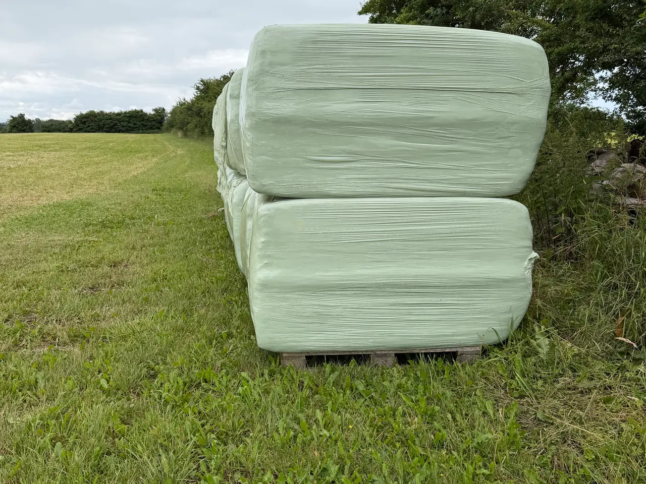 Billede 2 - Wrap Hø 2026 1. Slet