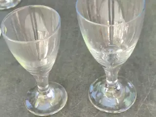 Tulpeglas