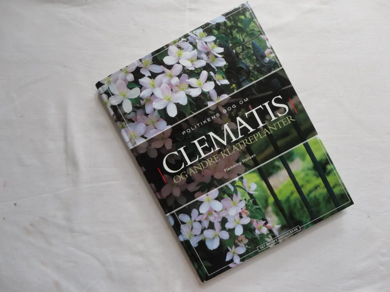 Billede 2 - Clematis - Klematis :