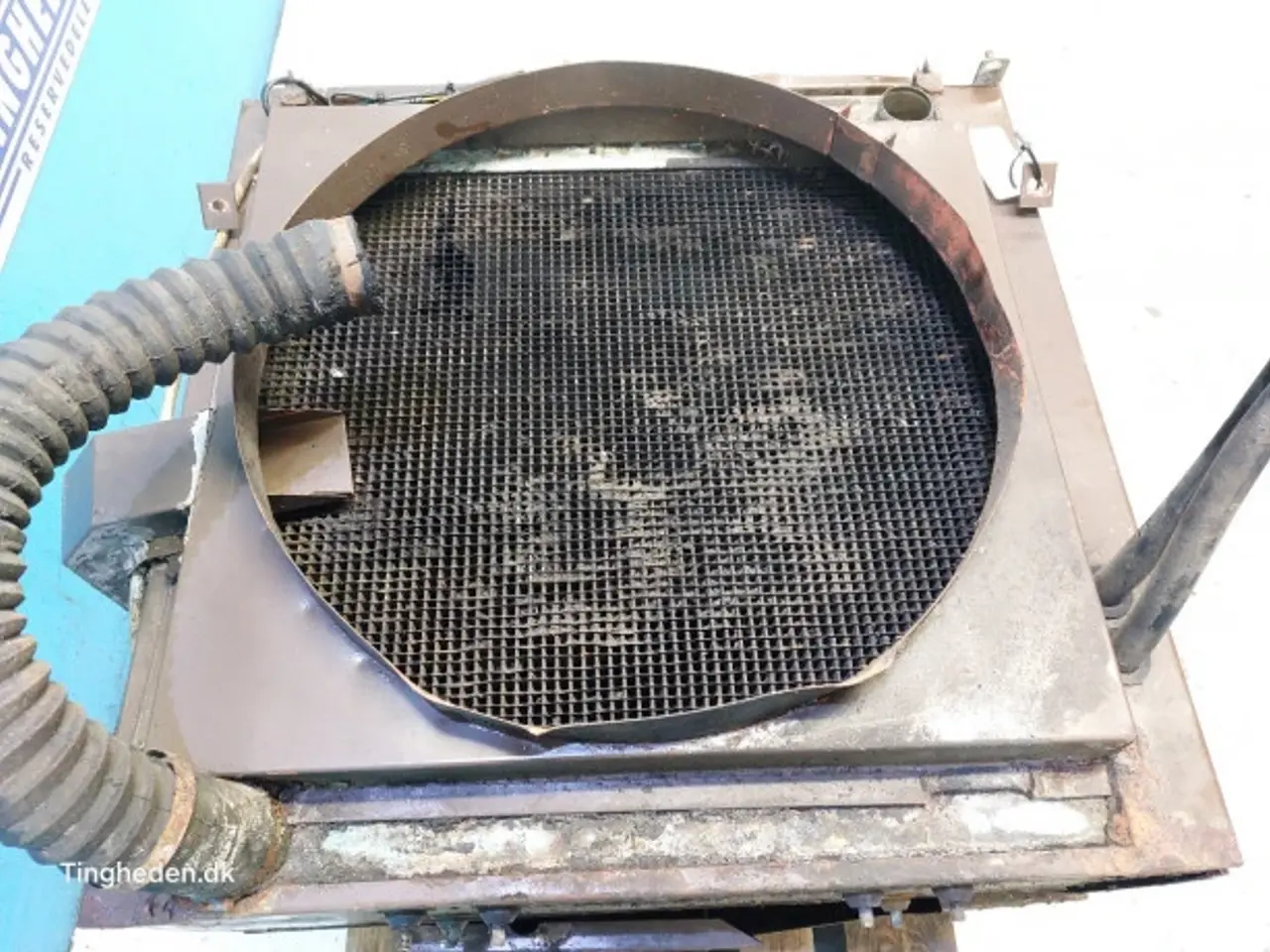 Billede 17 - Massey Ferguson 31 Køler 28751764