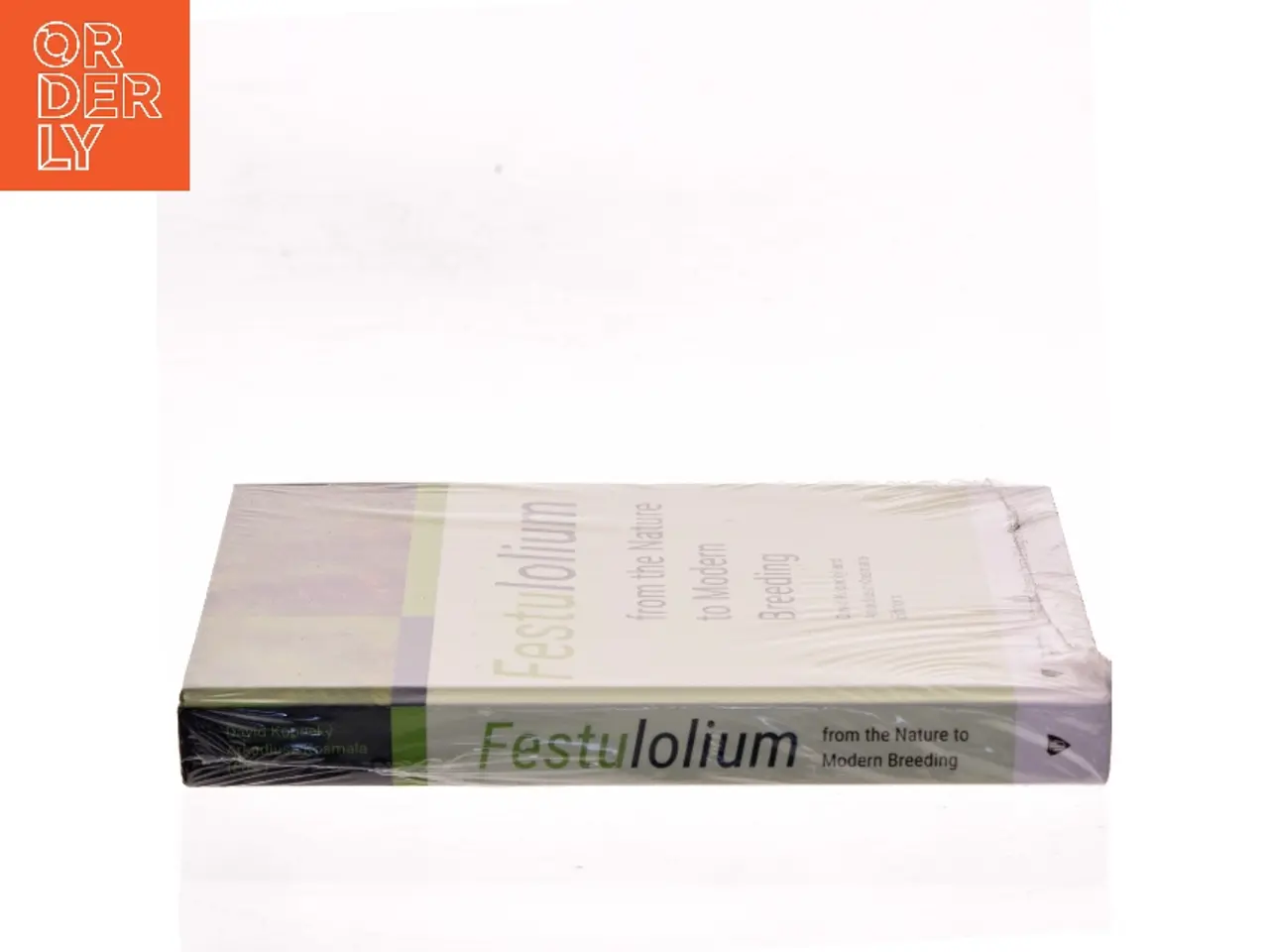 Billede 2 - Festulolium (Bog)