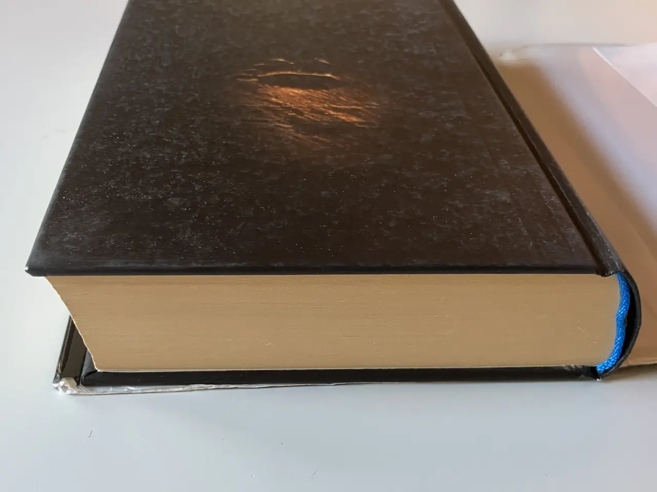 Billede 10 - Den hellige sten. Af Barbara Wood