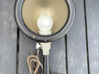 Lampe