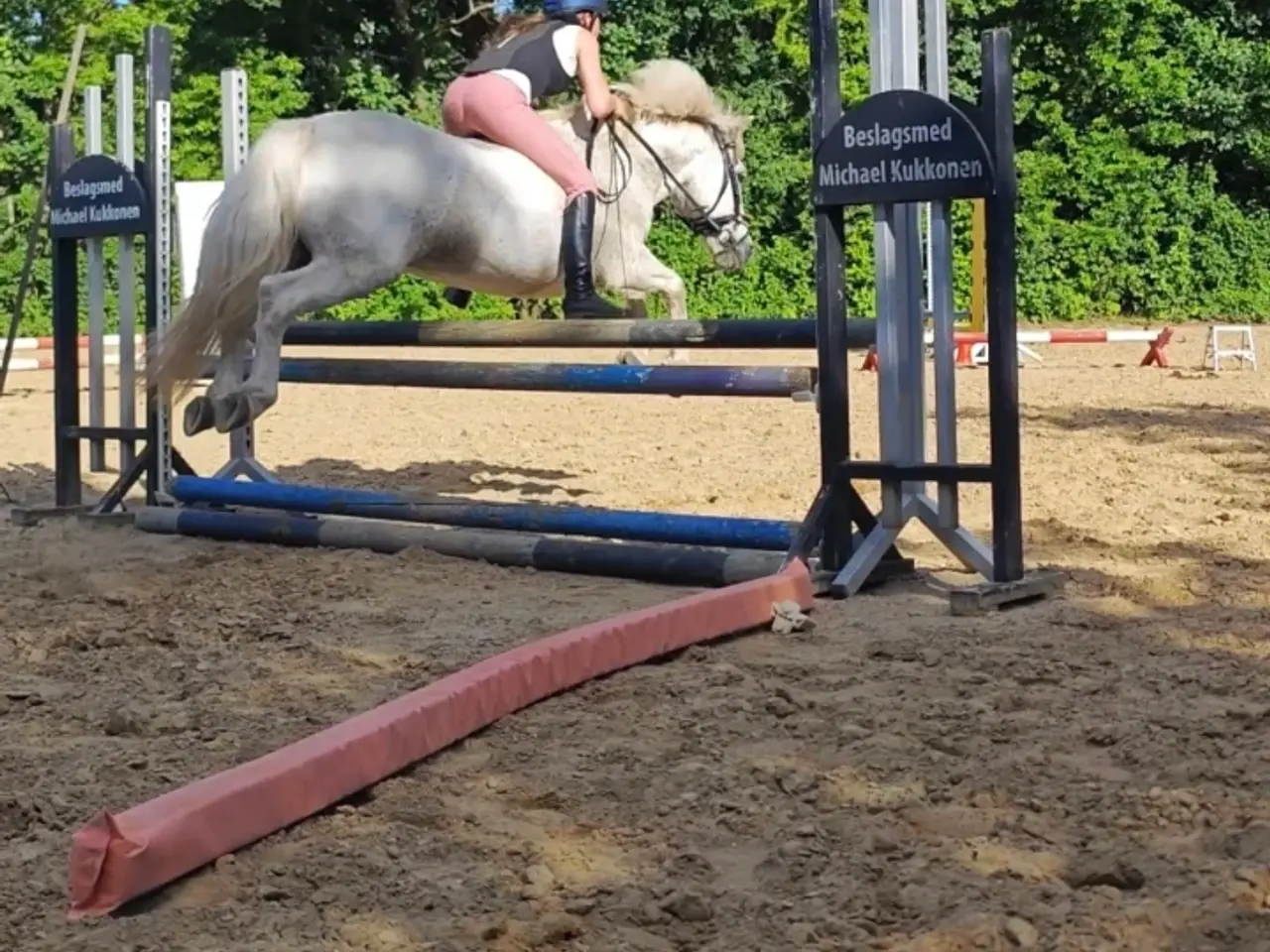 Billede 4 - Allround pony, en ny bedste ven