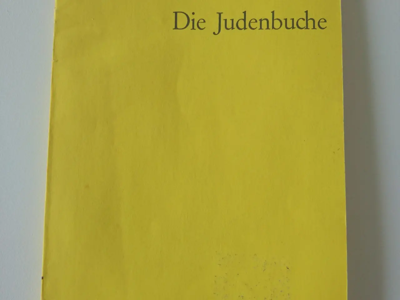 Billede 1 - Die Judenbuche - ein Sittengemälde aus dem Gebirgi