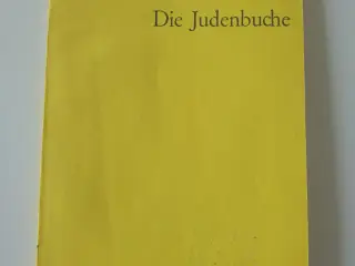 Die Judenbuche - ein Sittengemälde aus dem Gebirgi