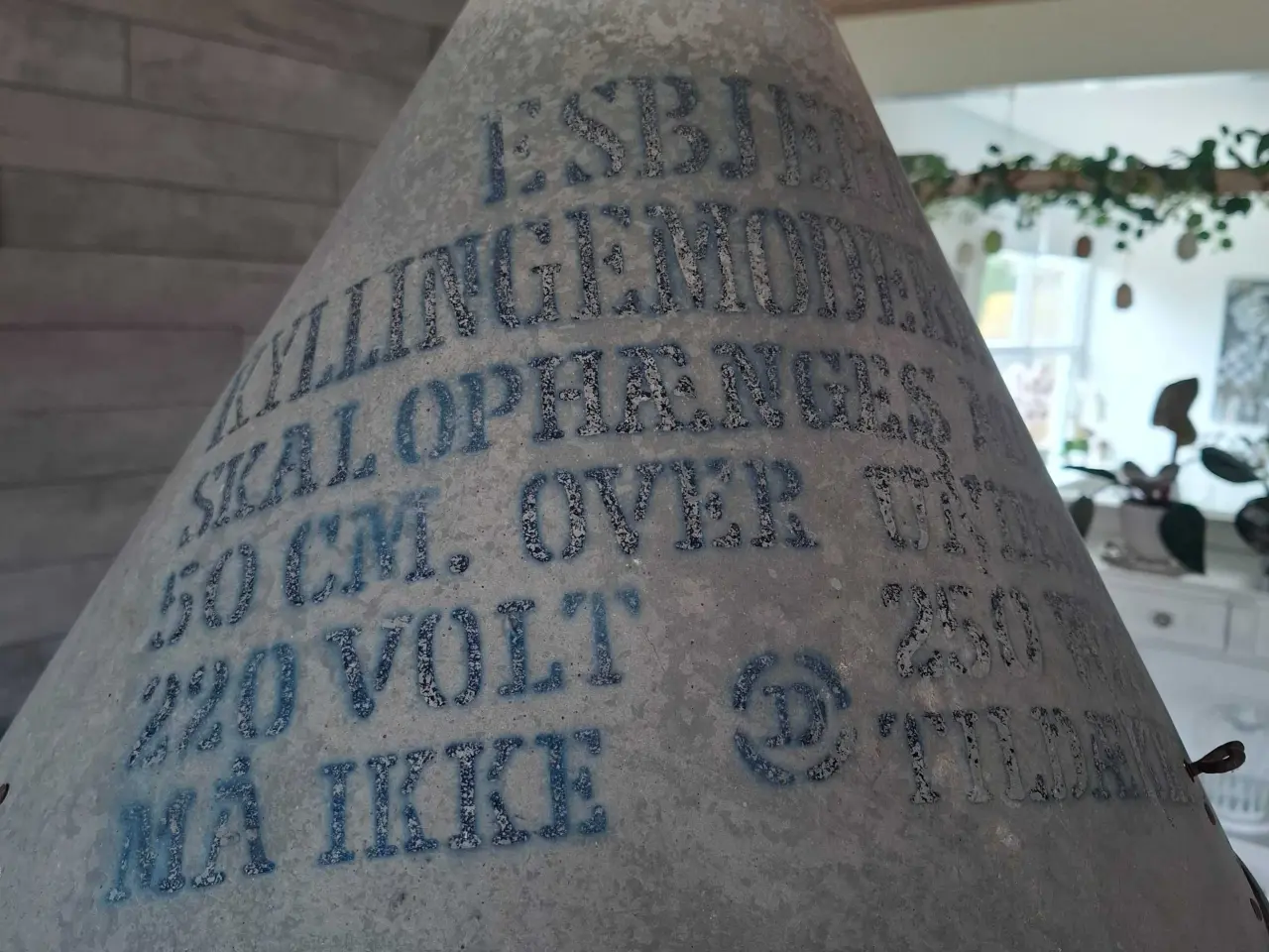 Billede 2 - Kyllinge/griselampe sælges.