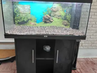 Akvarier 180L