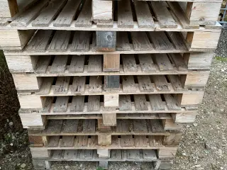 Søger paller 100x120