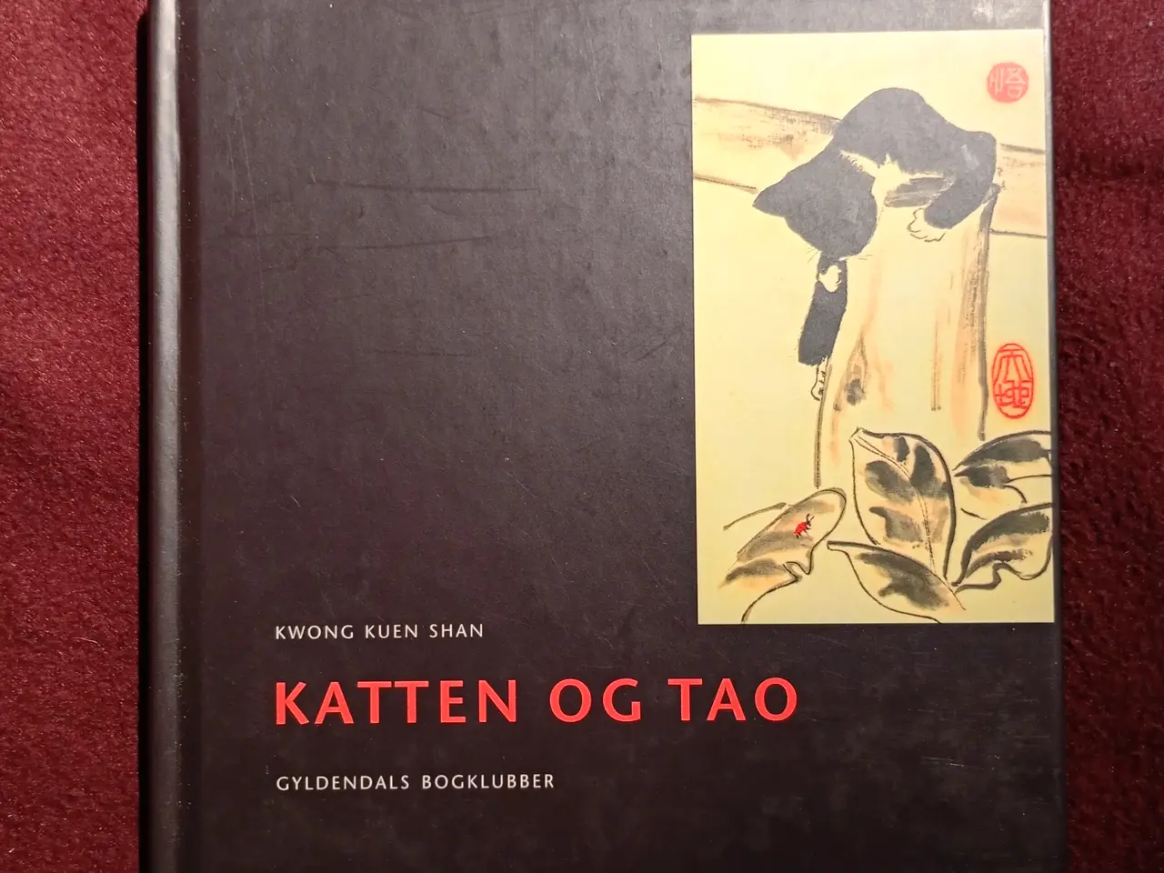 Billede 1 - Katten og Tao. Kwong Kuren Shan