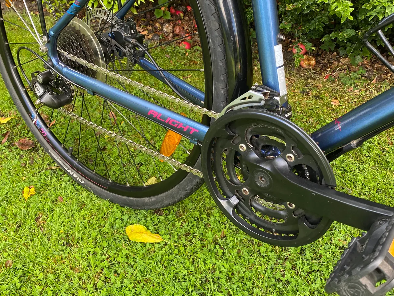 Billede 4 - Giant Damecykel