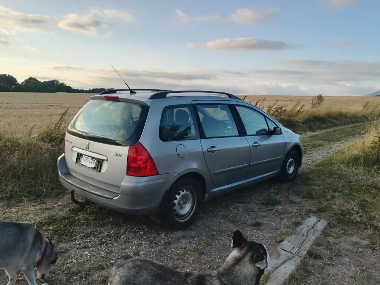 Billede 2 - (BYD) Peugeot 307, 1.6 HDI